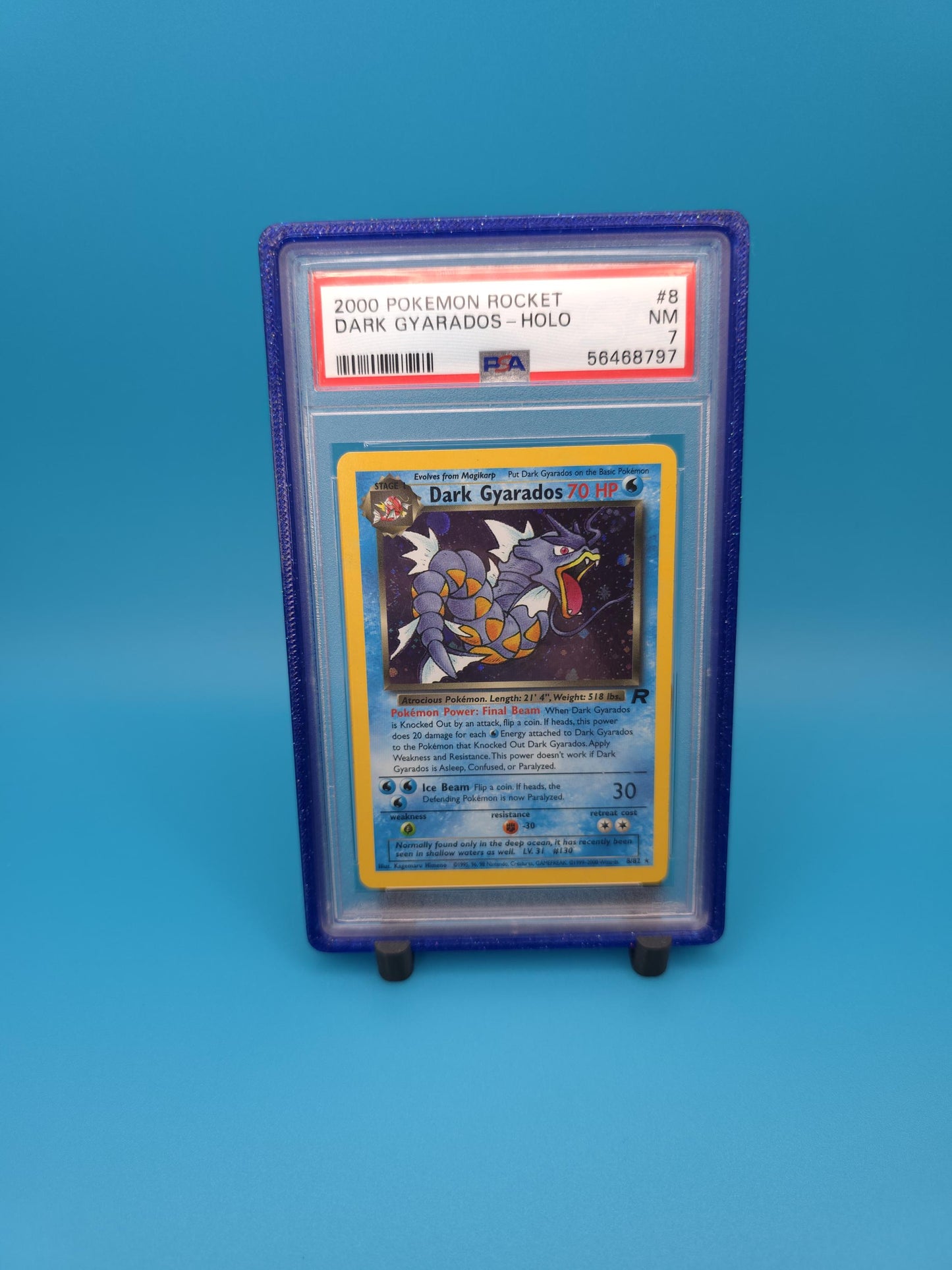 PSA Slab Reversable Galaxy Guards